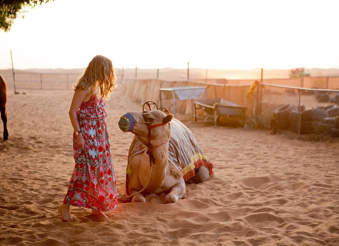Premium Desert Safari Dubai with VIP Seating 4