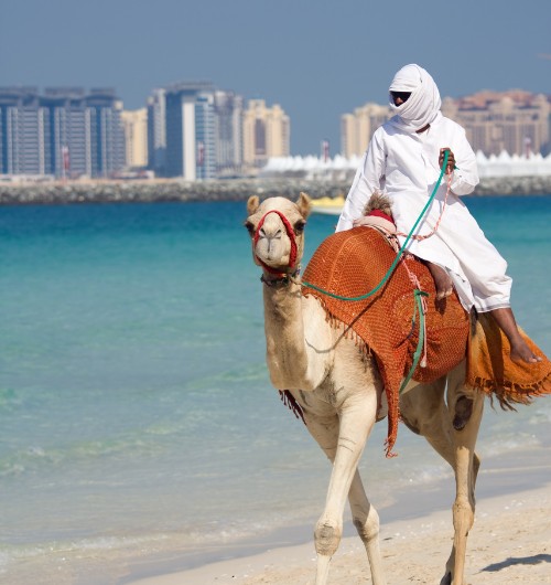 Dubai City Escape – Premium 2 Days Tour 2